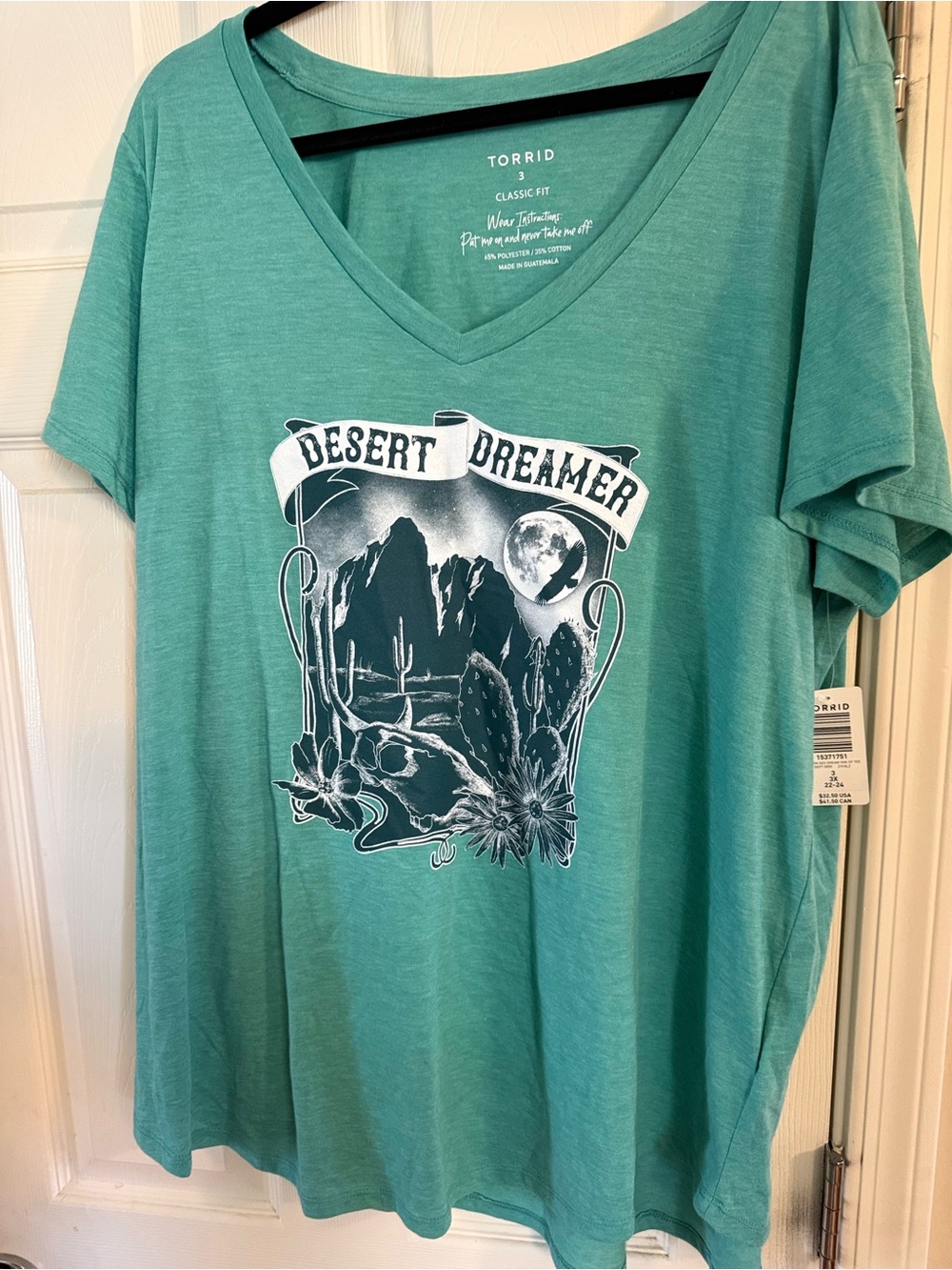 torrid Teal V‑Neck Desert Graphic Tee